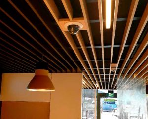 Business surveillance camera system recording